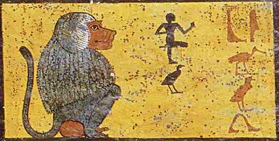 Einer der 12 Paviane, genannt der 'Tnzer', an der Westwand der Sargkammer des Tutanchamun